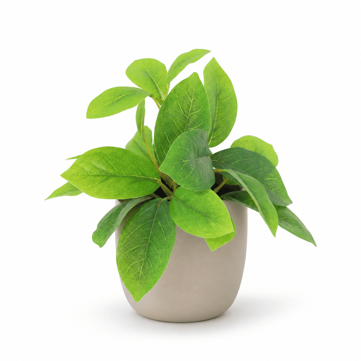 Kunstpflanze Hoya Grün 20 cm mit natürlicher, kompakter Blattoptik - DYFLORA