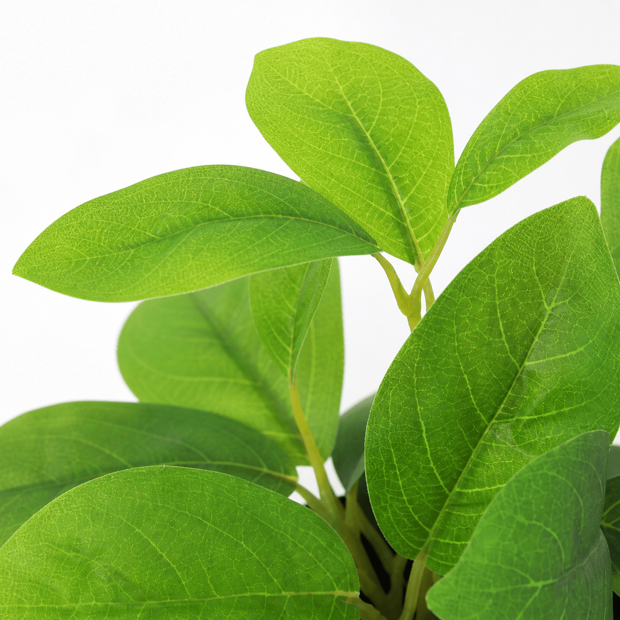 Kunstpflanze Hoya Grün 20 cm mit natürlicher, kompakter Blattoptik - DYFLORA