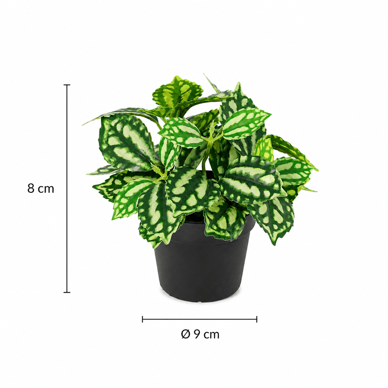 Kunstpflanze Ice Water 8 cm – jetzt stilvoll zuhause dekorieren - DYFLORA
