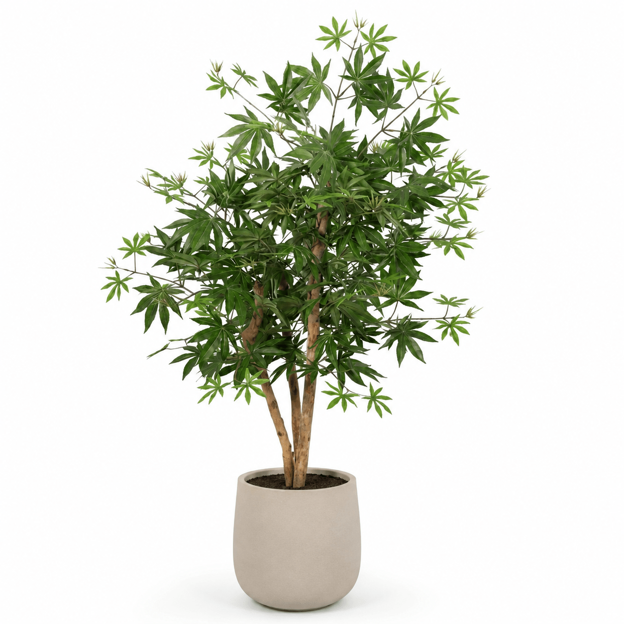 Kunstpflanze Japanischer Ahorn 100 cm naturgetreu - DYFLORA