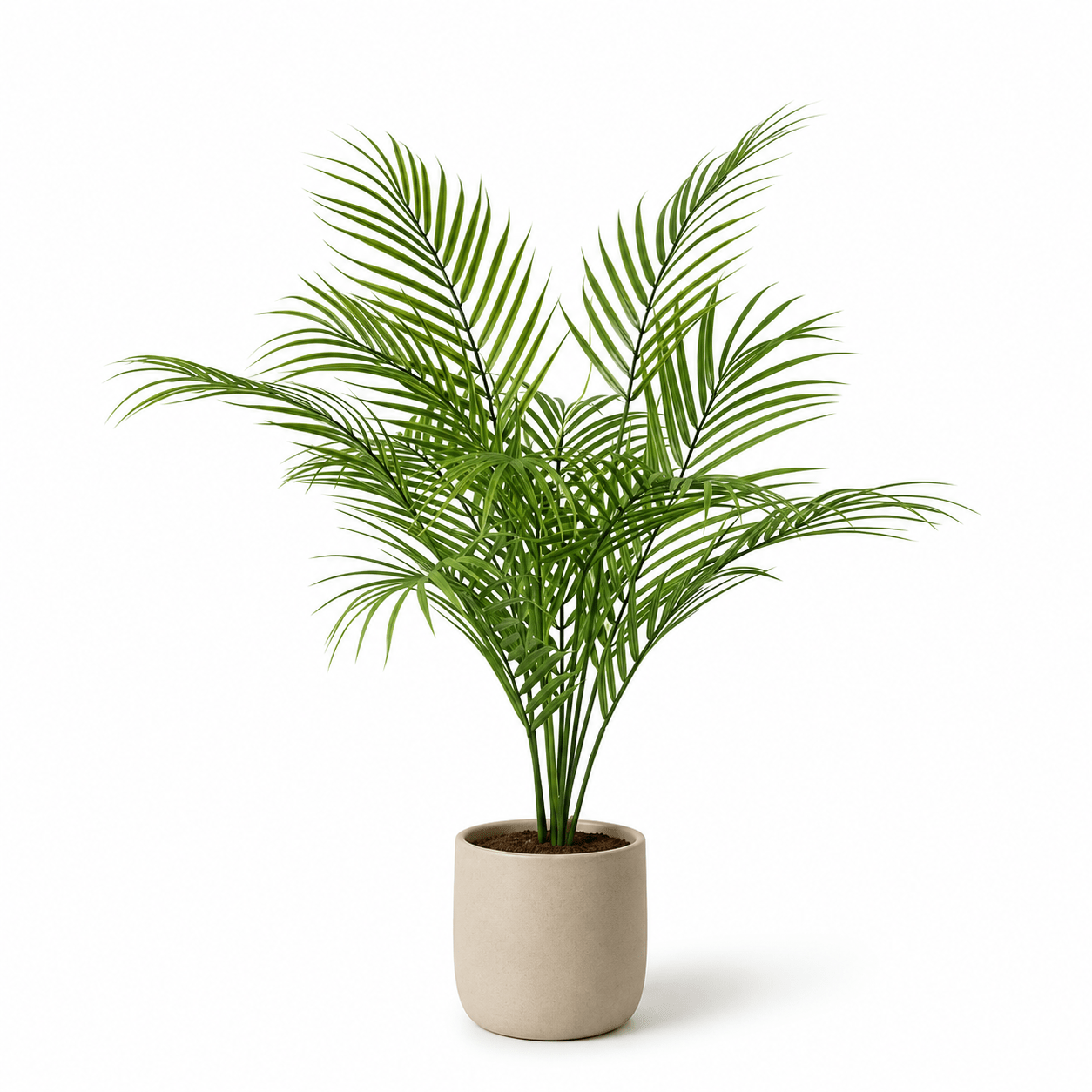 Kunstpflanze Kentiapalme 65 cm tropisch naturgetreu - DYFLORA