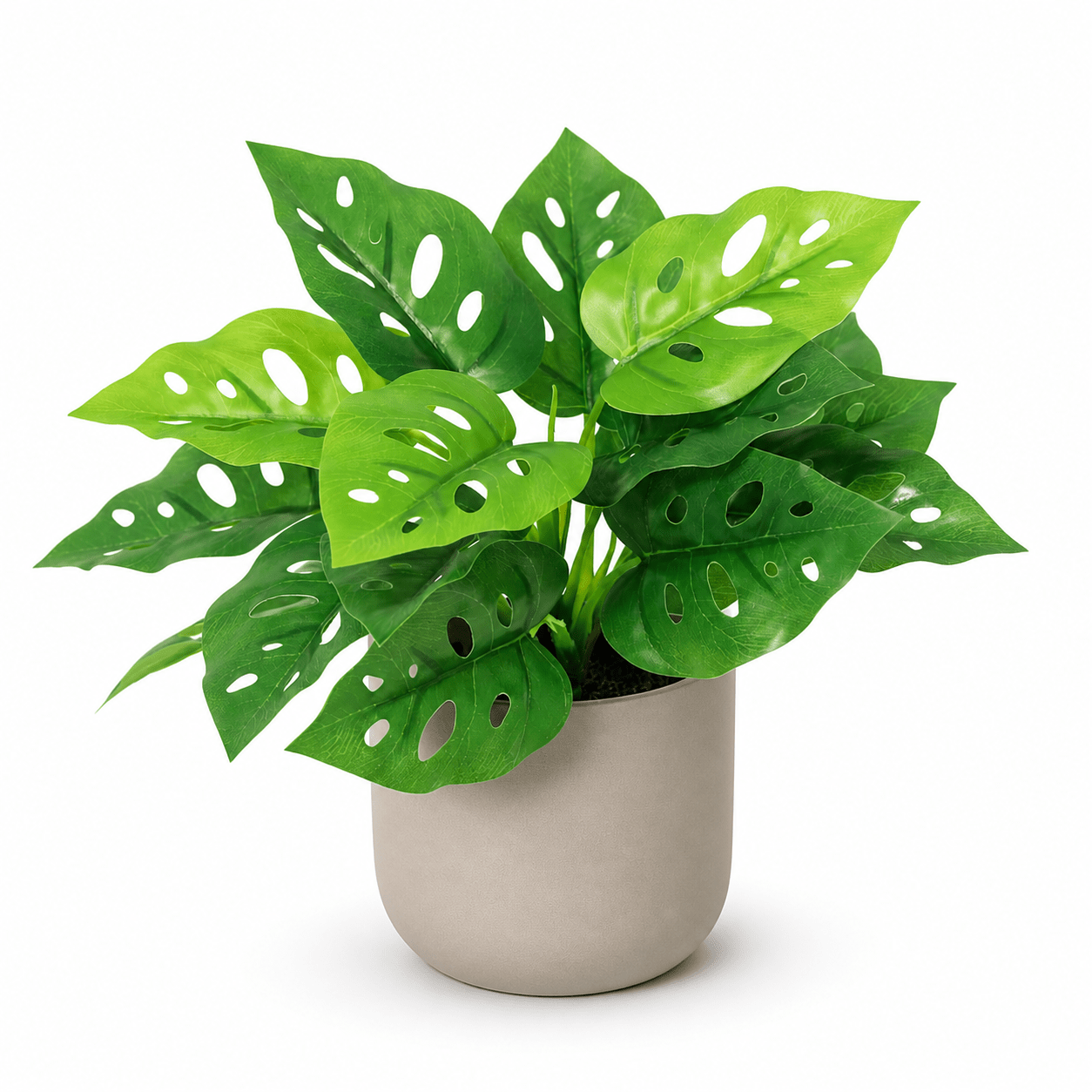 Kunstpflanze Monstera Monkey Leaf 22 cm Lochpflanze - DYFLORA