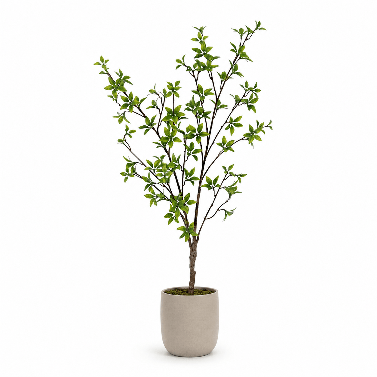 Kunstpflanze Myrte Myrtus 83 cm grün naturgetreu - DYFLORA