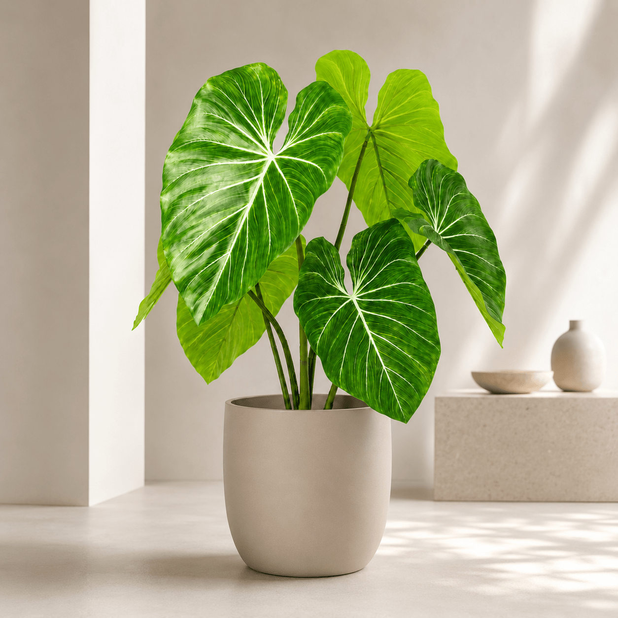 Kunstpflanze Philodendron 100 cm mit tropischer Blattoptik - DYFLORA