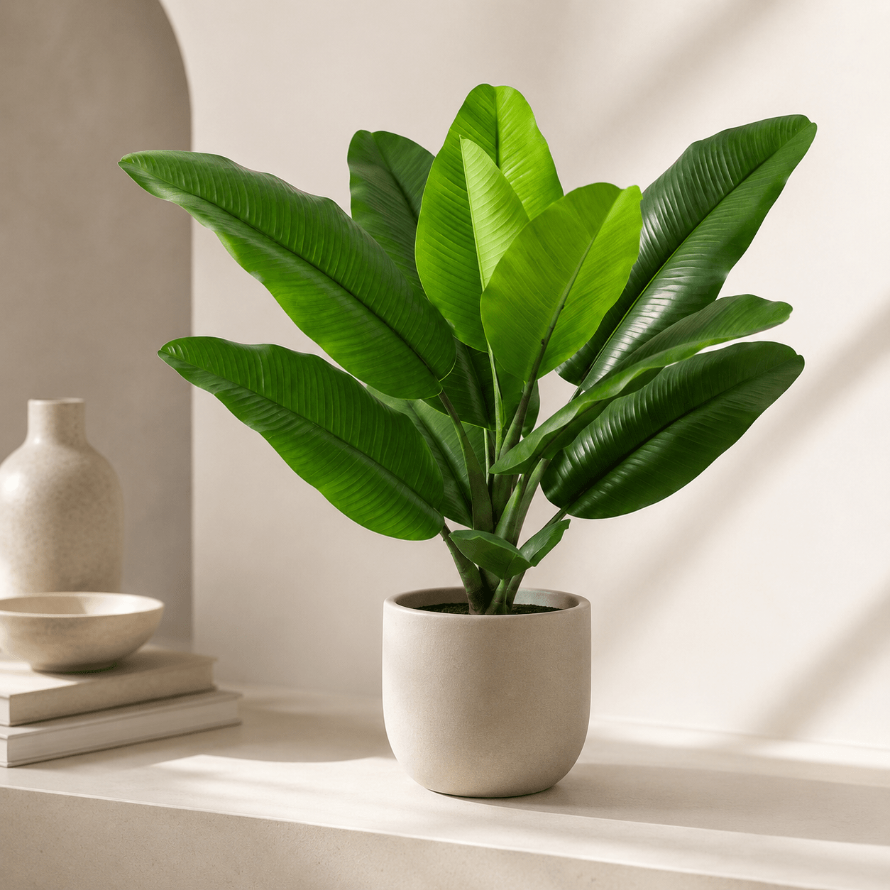 Kunstpflanze Philodendron Jungle King 45 cm – tropischer Blickfang - DYFLORA