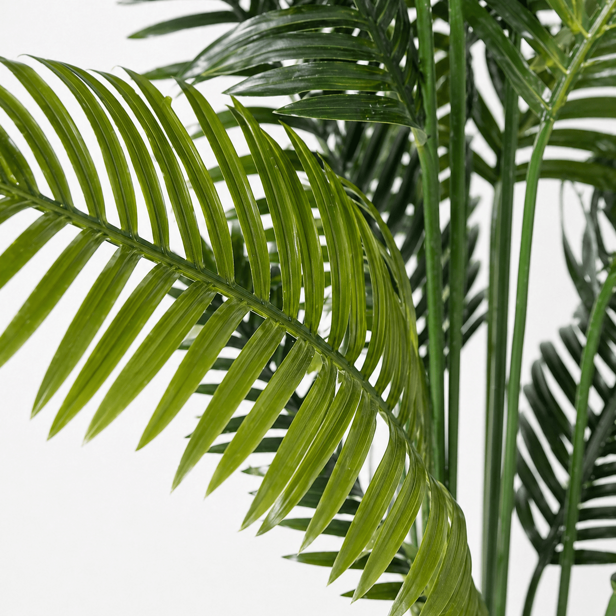 Kunstpflanze Phoenix - Palme 160 cm mit tropisch eleganter Ausstrahlung - DYFLORA