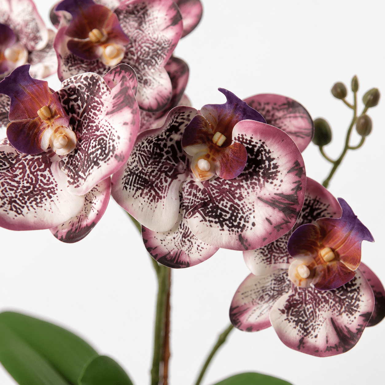 Kunstpflanze Schmetterlingsorchidee Phalaenopsis 41 cm lila - DYFLORA