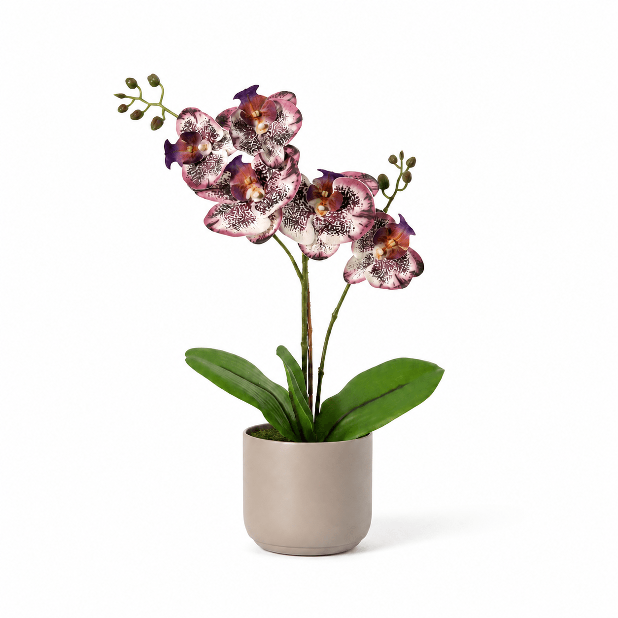 Kunstpflanze Schmetterlingsorchidee Phalaenopsis 41 cm lila - DYFLORA