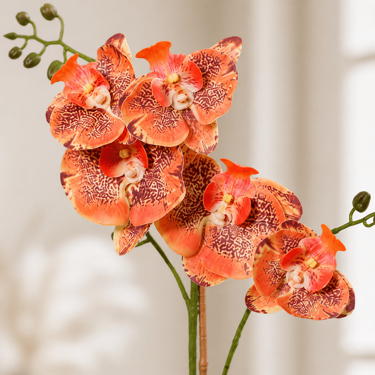Kunstpflanze Schmetterlingsorchidee Phalaenopsis 41 cm orange - DYFLORA