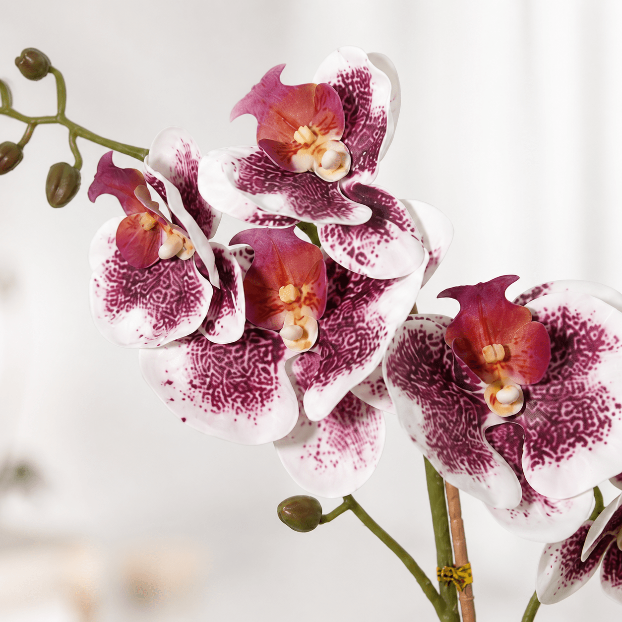 Kunstpflanze Schmetterlingsorchidee Phalaenopsis 41 cm violett - weiß - DYFLORA