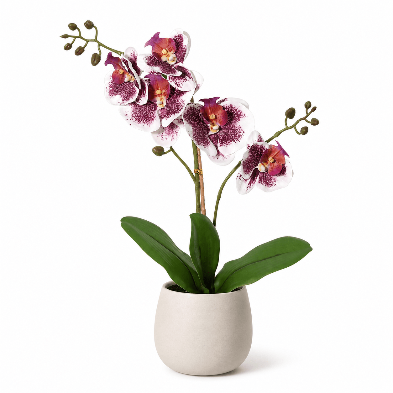 Kunstpflanze Schmetterlingsorchidee Phalaenopsis 41 cm violett - weiß - DYFLORA