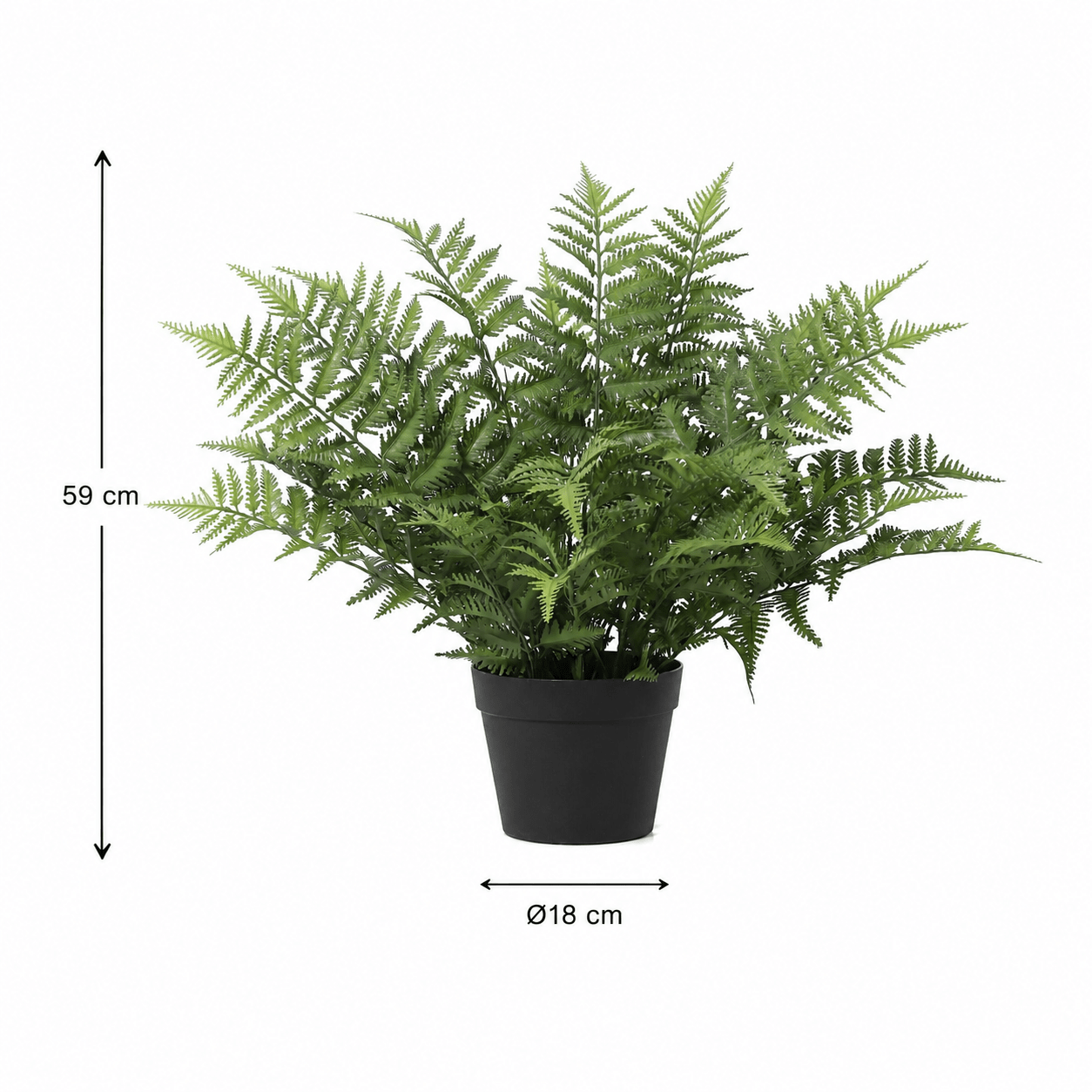 Kunstpflanze Schwertfarn Nephrolepis exaltata 59 cm - DYFLORA