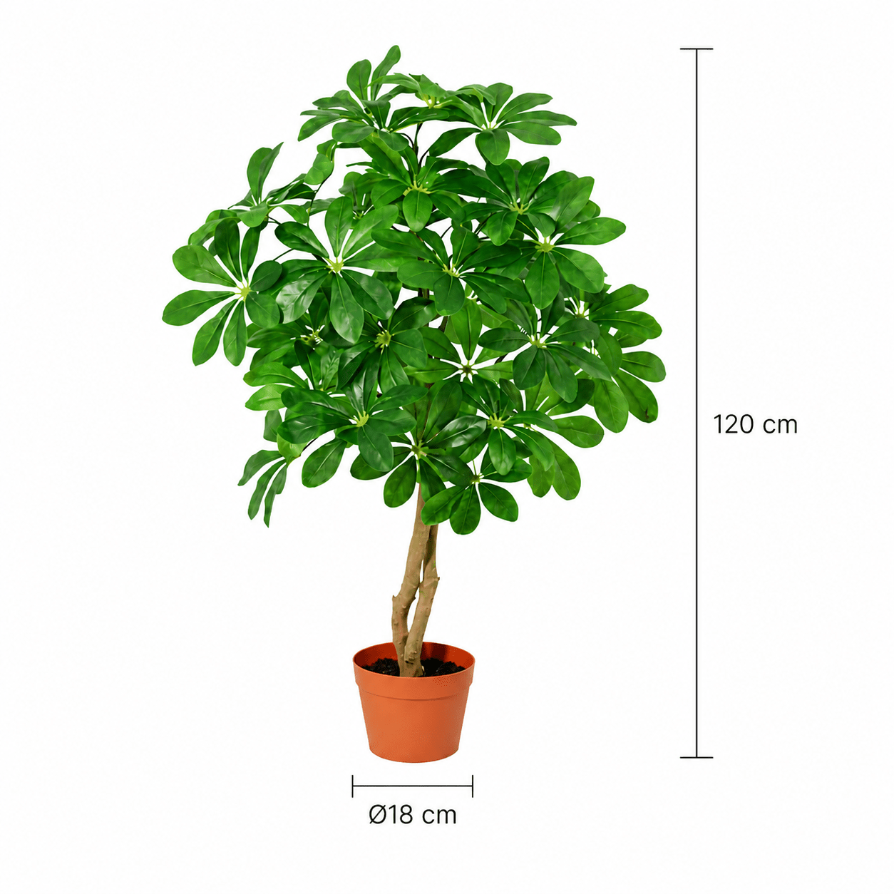 Kunstpflanze Strahlenaralie Schefflera Arboricola 120 cm - DYFLORA