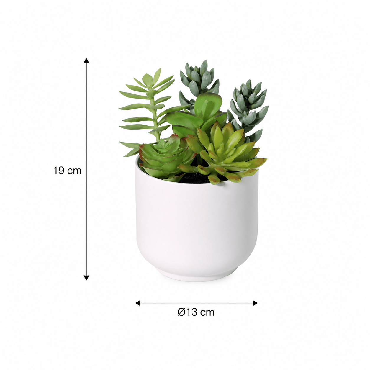 Kunstpflanze Sukkulente 19 cm grün naturgetreu - DYFLORA