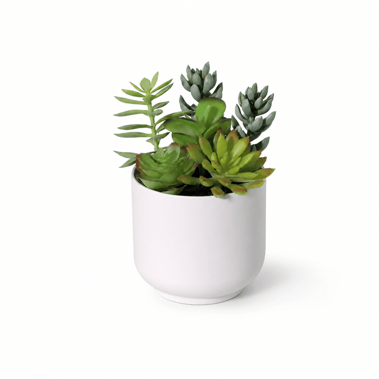 Kunstpflanze Sukkulente 19 cm grün naturgetreu - DYFLORA