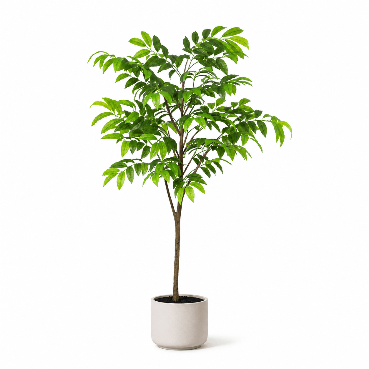 Kunstpflanze Tropenpflanze 153 cm grün naturgetreu - DYFLORA