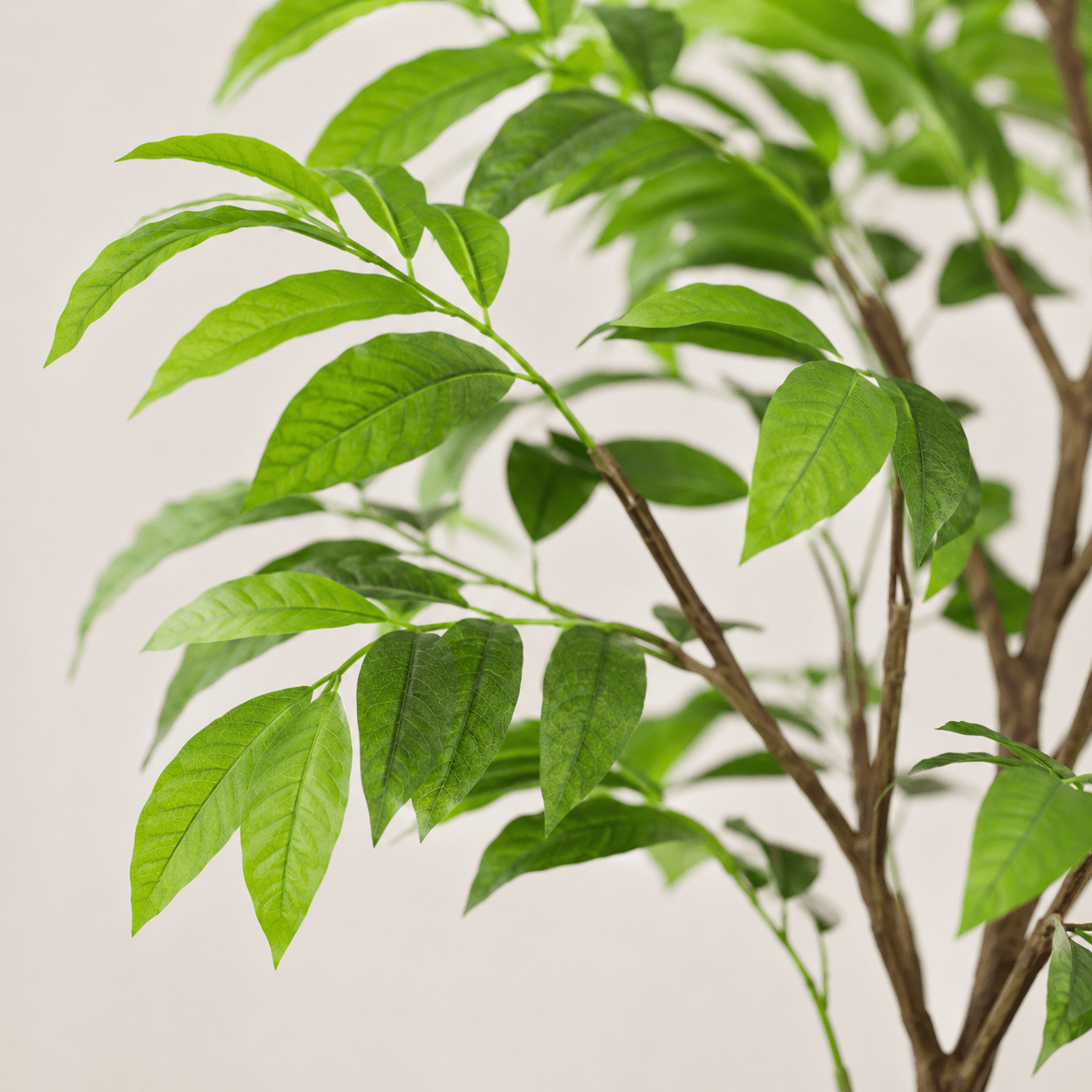 Kunstpflanze Tropenpflanze 153 cm grün naturgetreu - DYFLORA