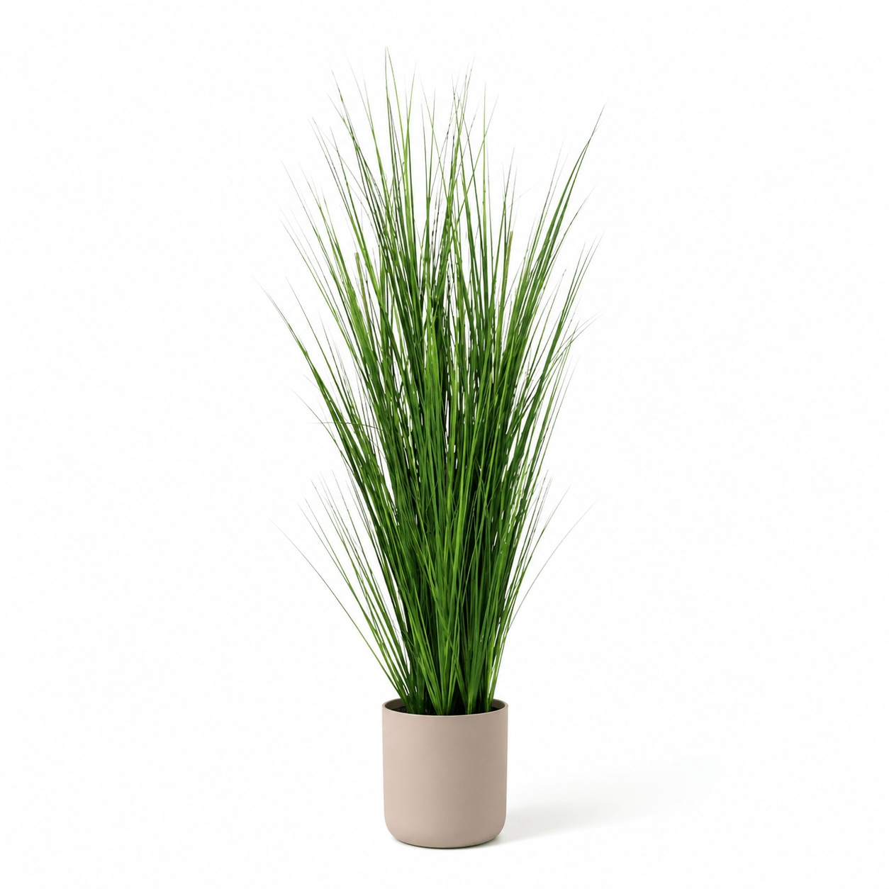 Kunstpflanze Zwiebelgras 130 cm mit luftiger, moderner Optik - DYFLORA