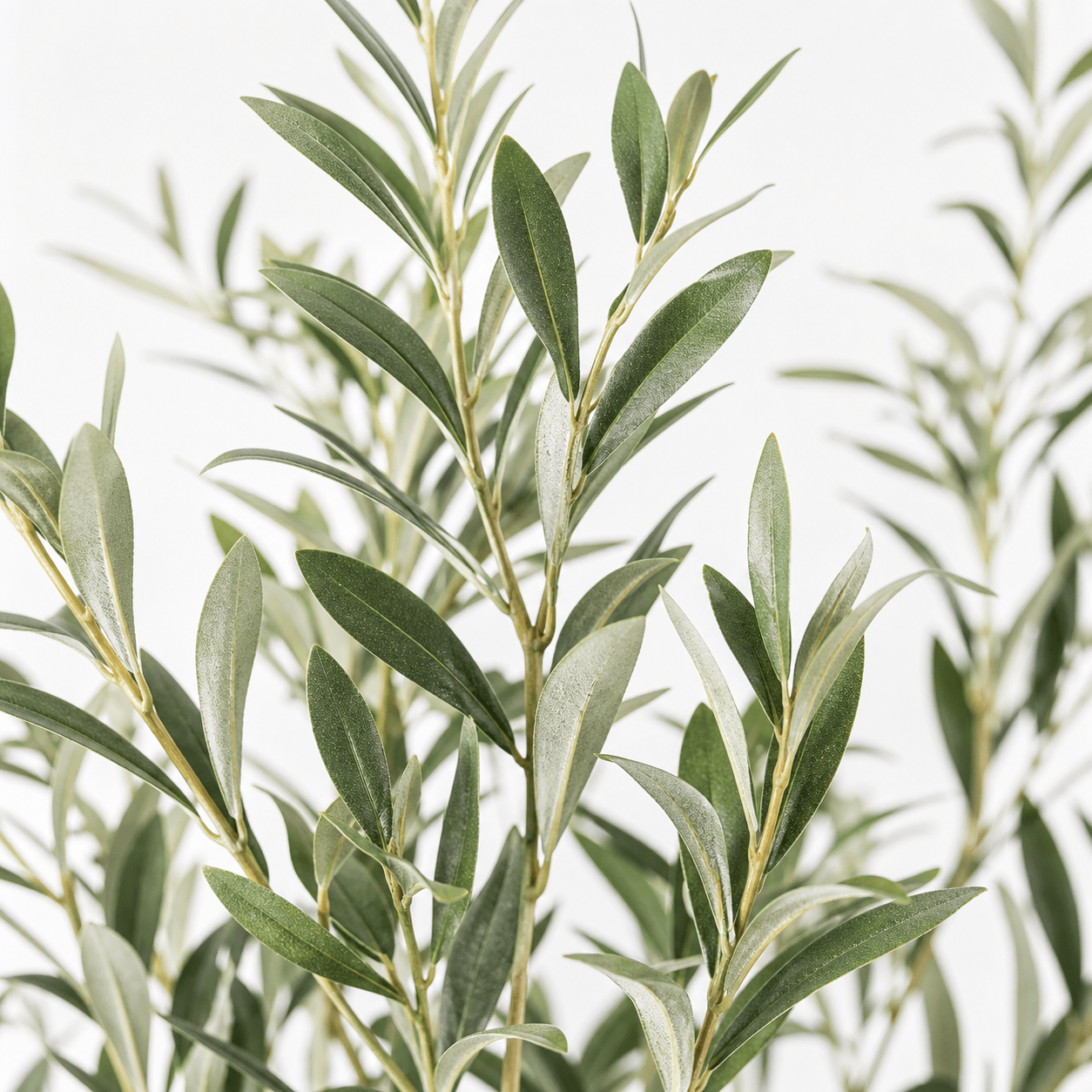 Olivenbaum Kunstpflanze 172 cm – mediterraner Kunstbaum stilvoll - DYFLORA