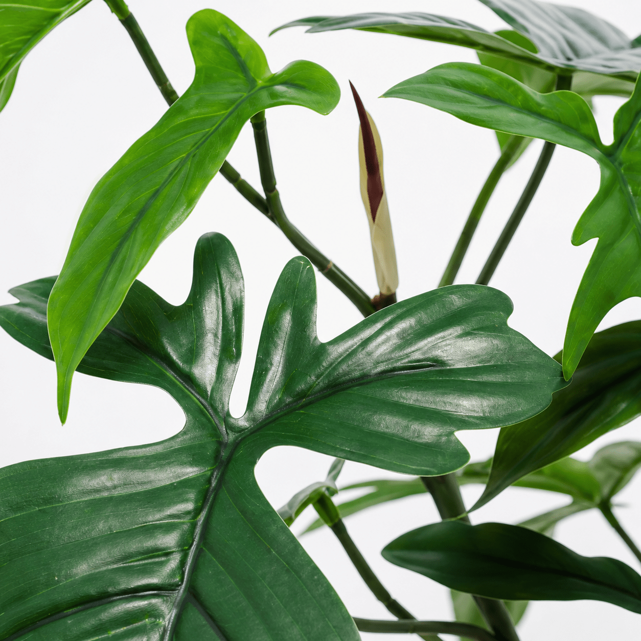 Philodendron Florida Kunstpflanze 44 cm – tropisch und stilvoll - DYFLORA