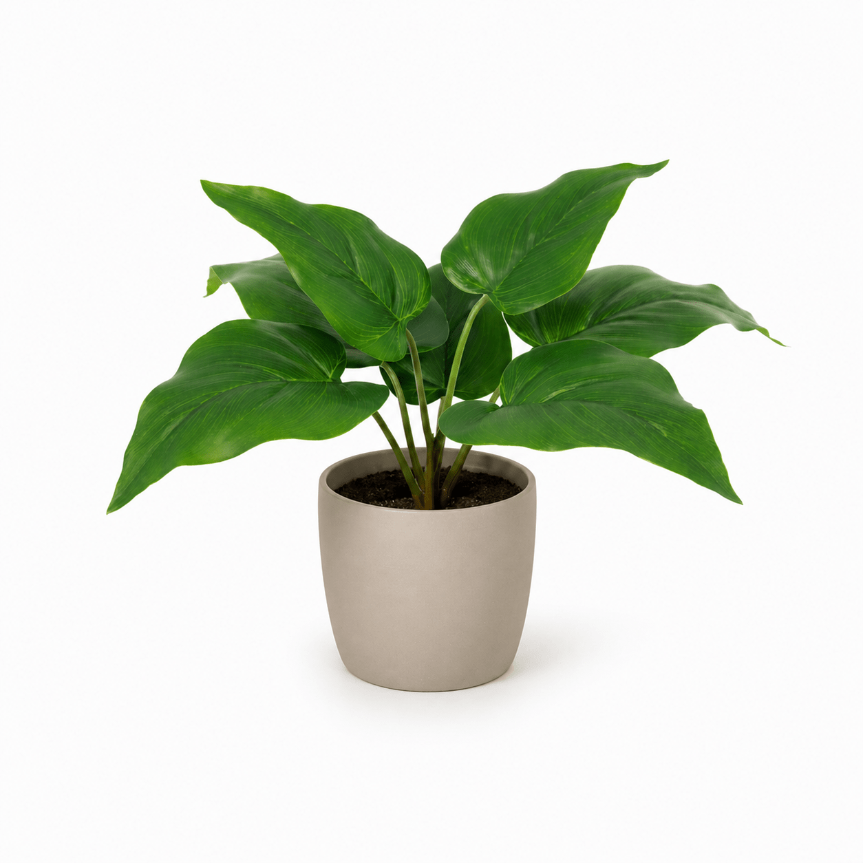 Philodendron Imperial Green Kunstpflanze 25 cm – modern und stilvoll - DYFLORA