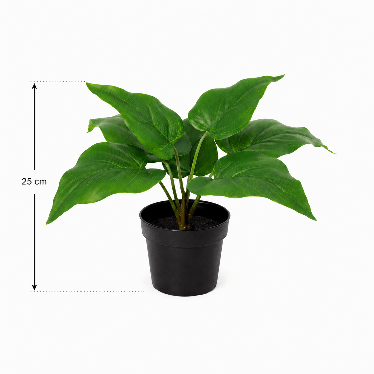 Philodendron Imperial Green Kunstpflanze 25 cm – modern und stilvoll - DYFLORA