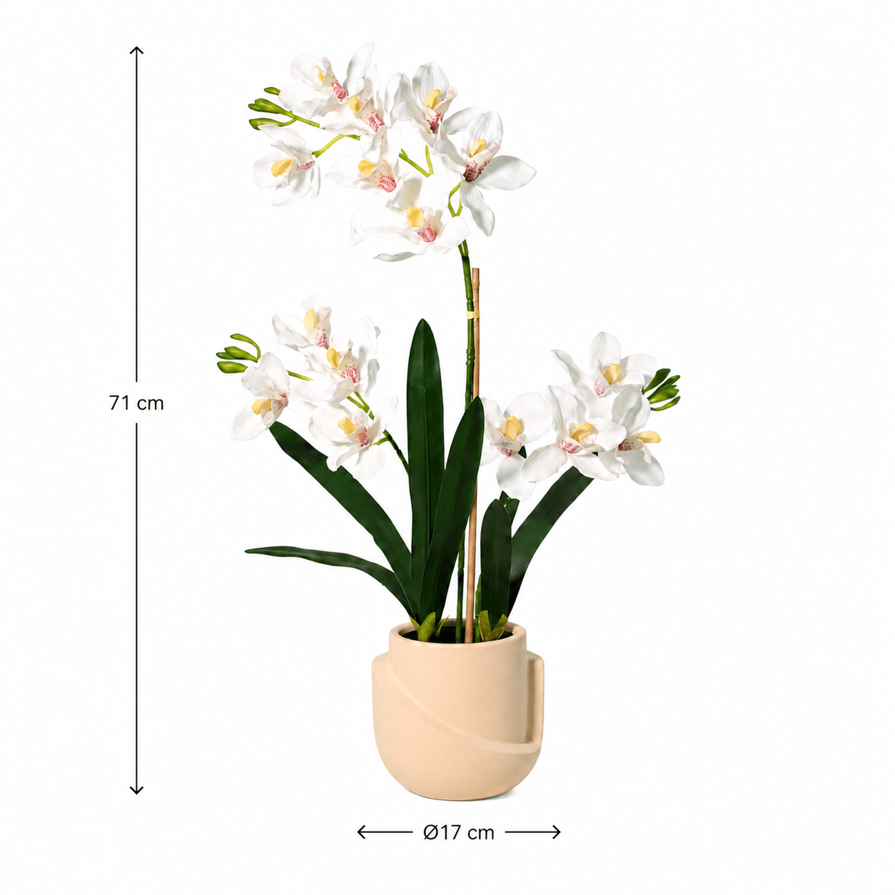 Schmetterlingsorchidee Kunstpflanze 71 cm – Phalaenopsis elegant - DYFLORA