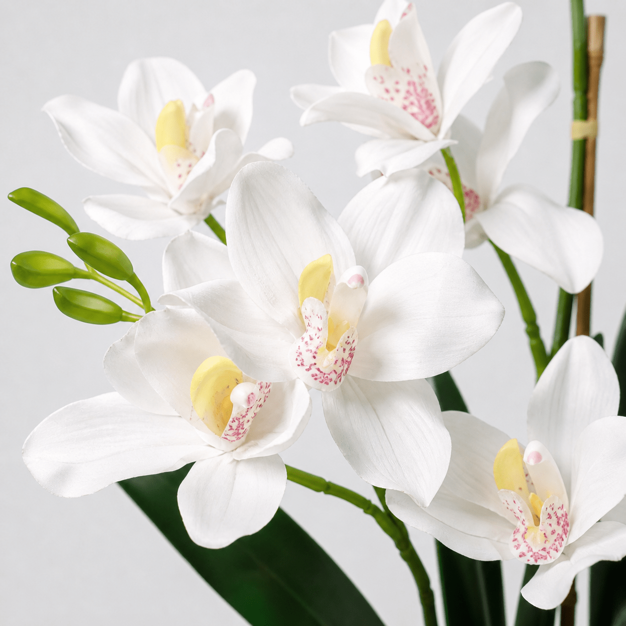 Schmetterlingsorchidee Kunstpflanze 71 cm – Phalaenopsis elegant - DYFLORA