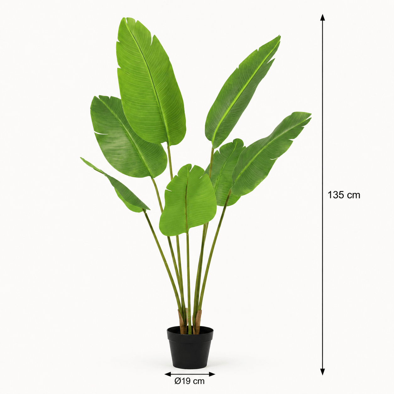 Strelitzie Kunstpflanze 135 cm – Strelitzia Nicolai tropisch elegant - DYFLORA