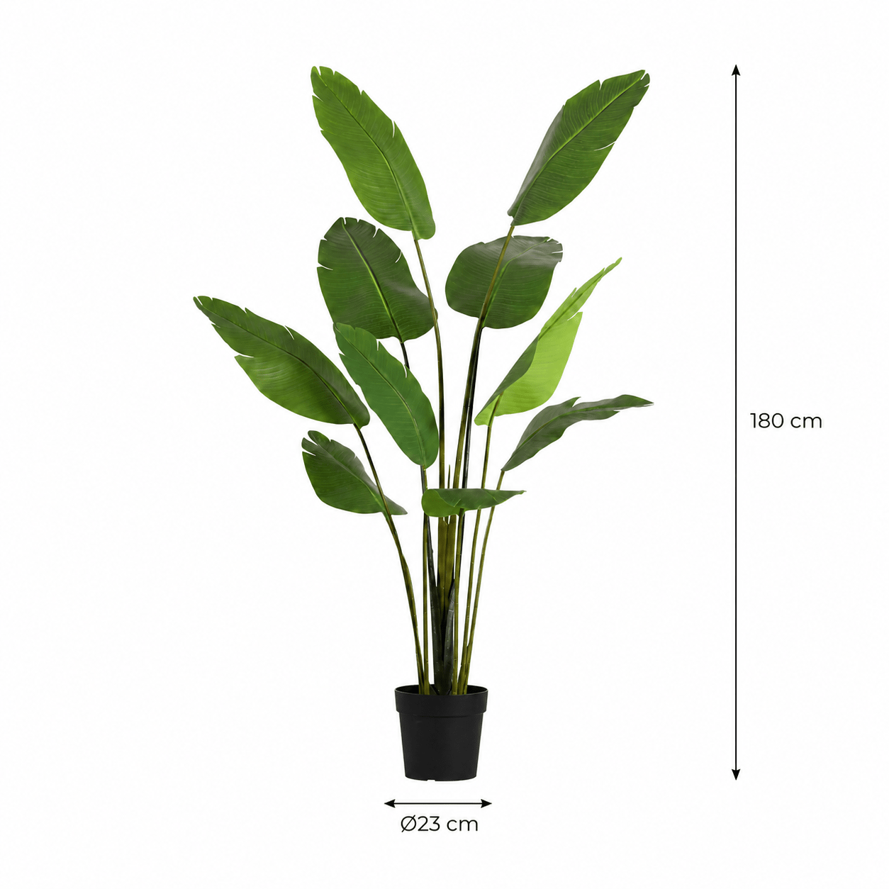 Strelitzie Kunstpflanze 180 cm – Strelitzia Nicolai tropisch - DYFLORA