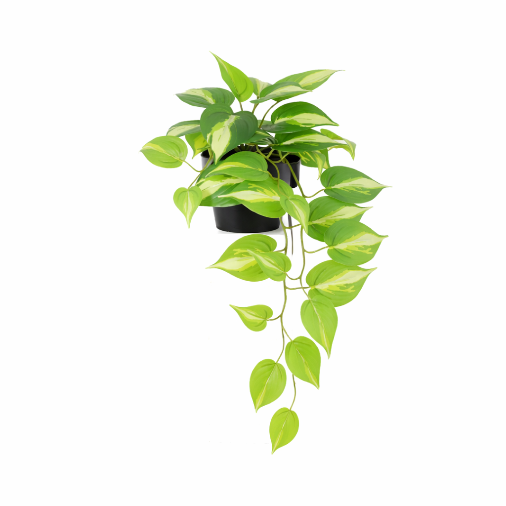 Kunstpflanze Efeutute Variegata 37 cm – künstliches Epipremnum