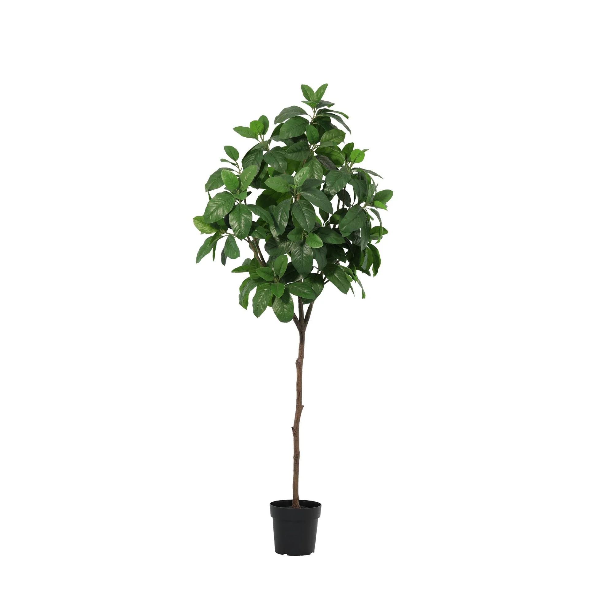 Magnolie Kunstpflanze 190 cm – eleganter Kunstbaum mit grünen Blättern