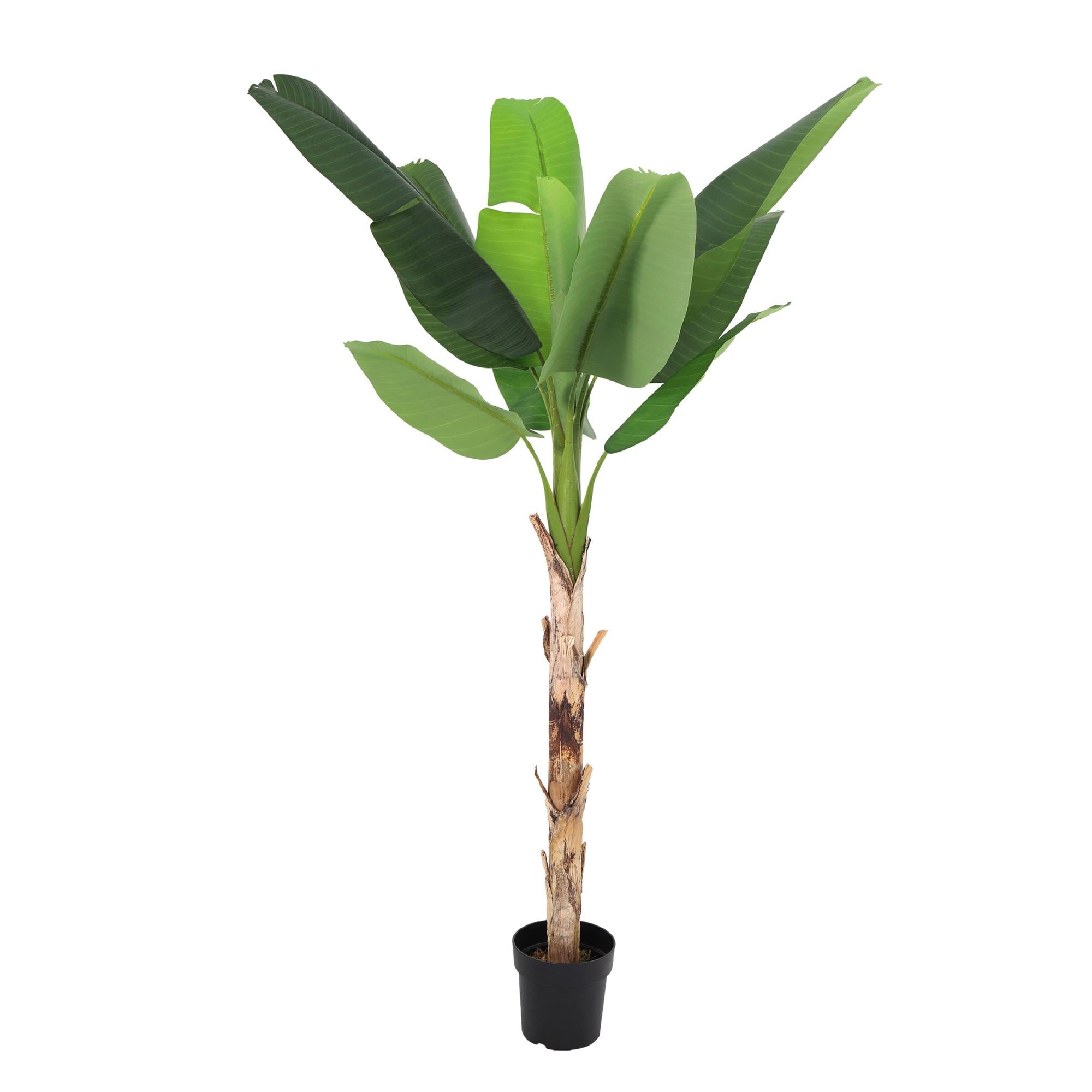 Kunstpflanze Bananenpflanze Musa 190 cm – tropischer Blickfang