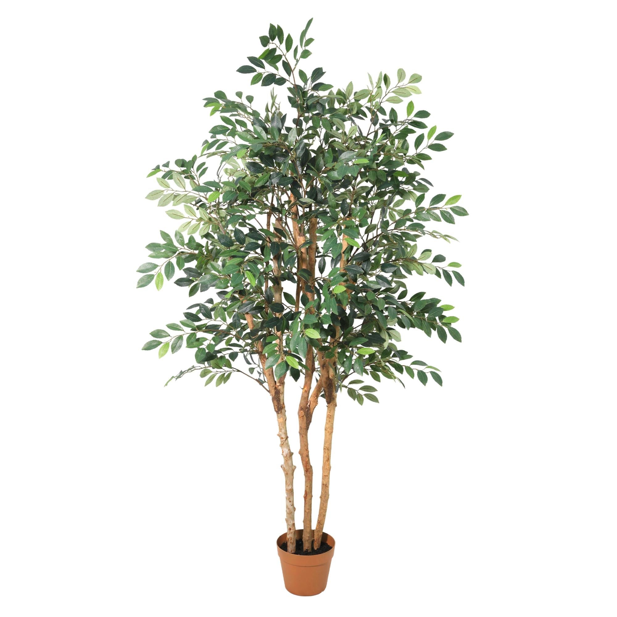 Kunstpflanze Ficus Exotica 150 cm – künstlicher Ficusbaum