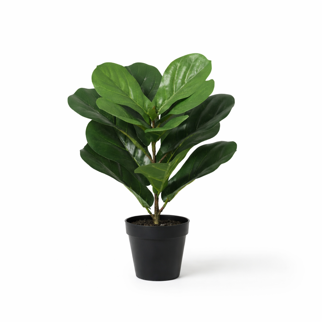 Geigenfeige Kunstpflanze 40 cm – Ficus lyrata für moderne Deko