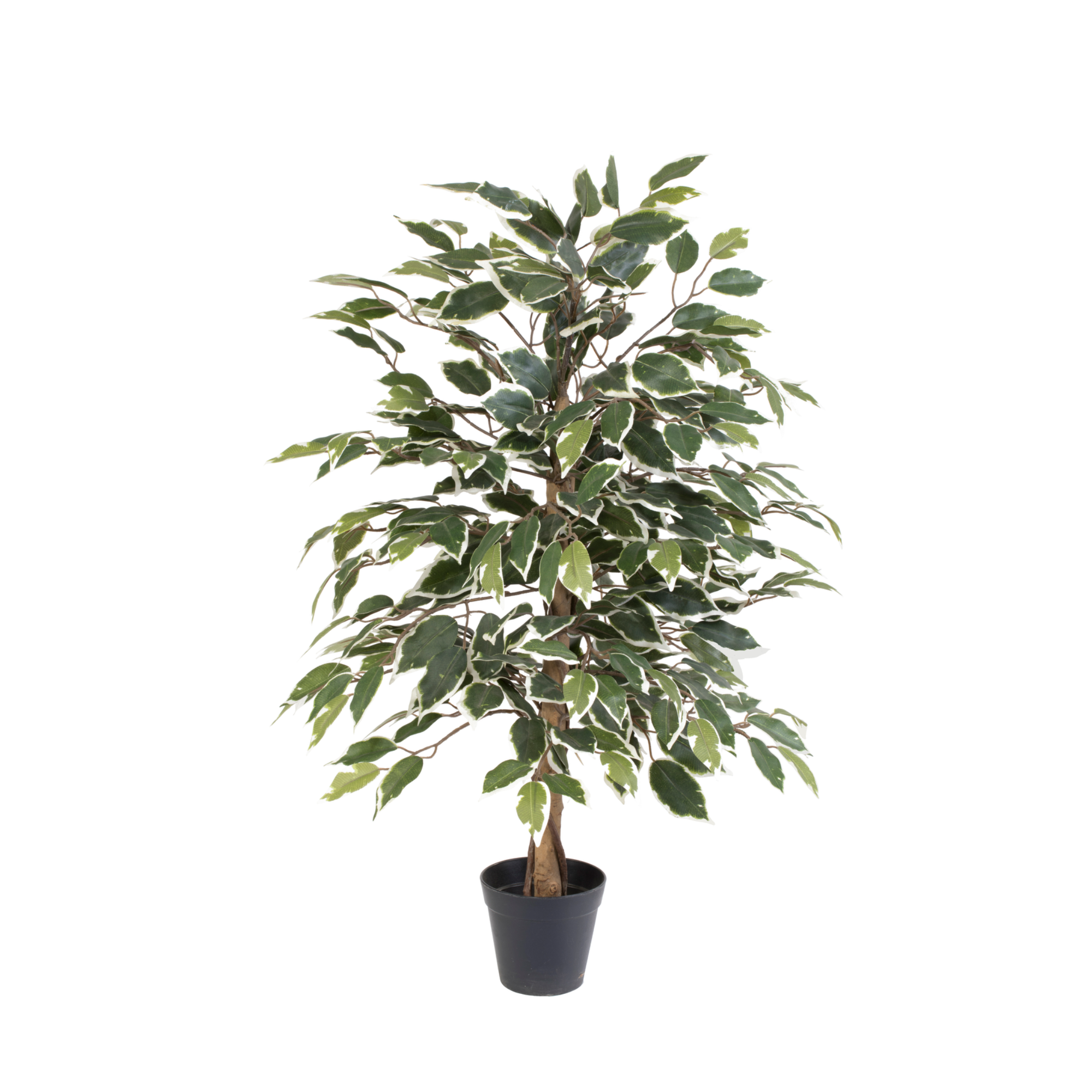 Kunstpflanze Birkenfeige variegata 85 cm – künstlicher Ficus Baum