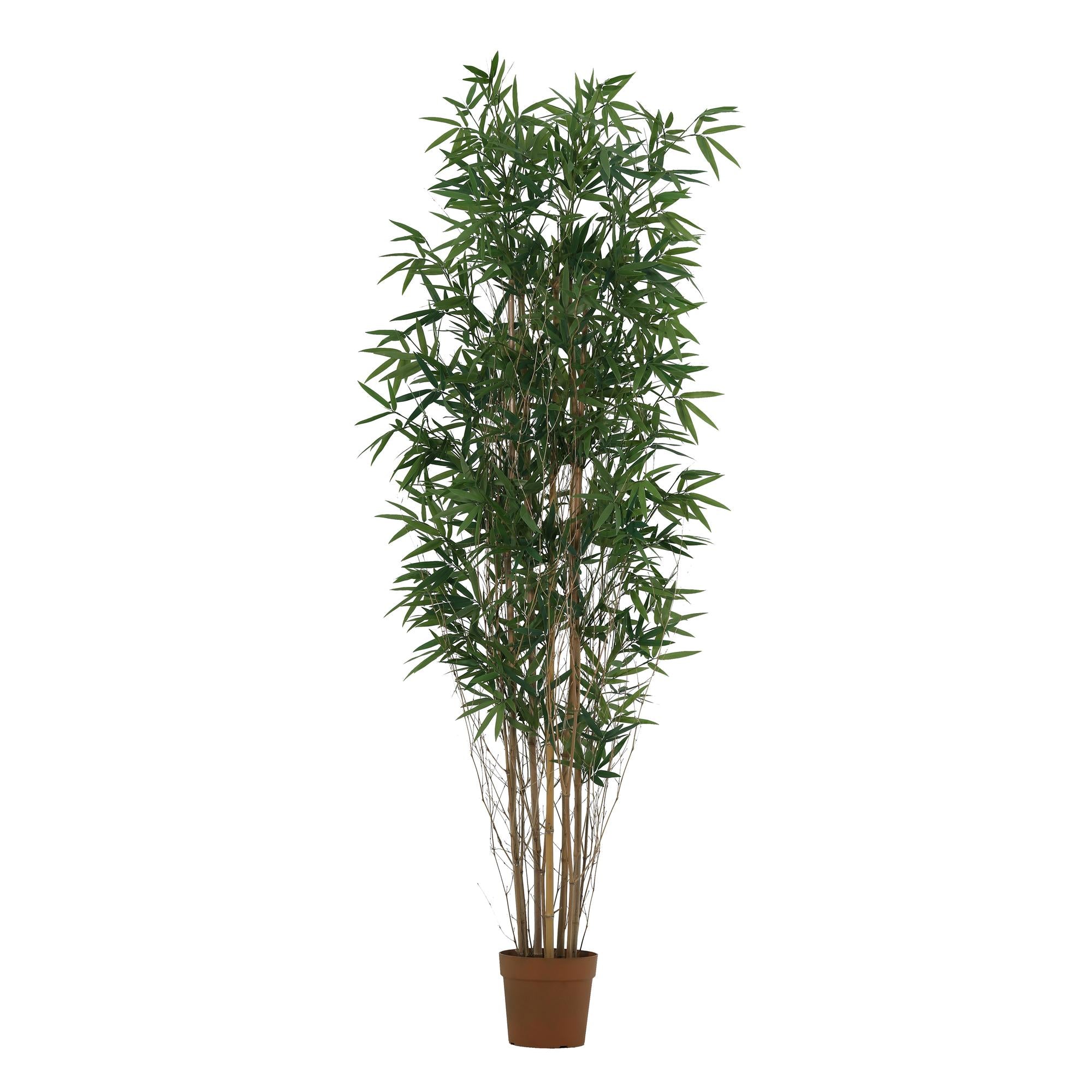 Bambus Kunstpflanze 210 cm – natürlicher Raumakzent für Wohnstil