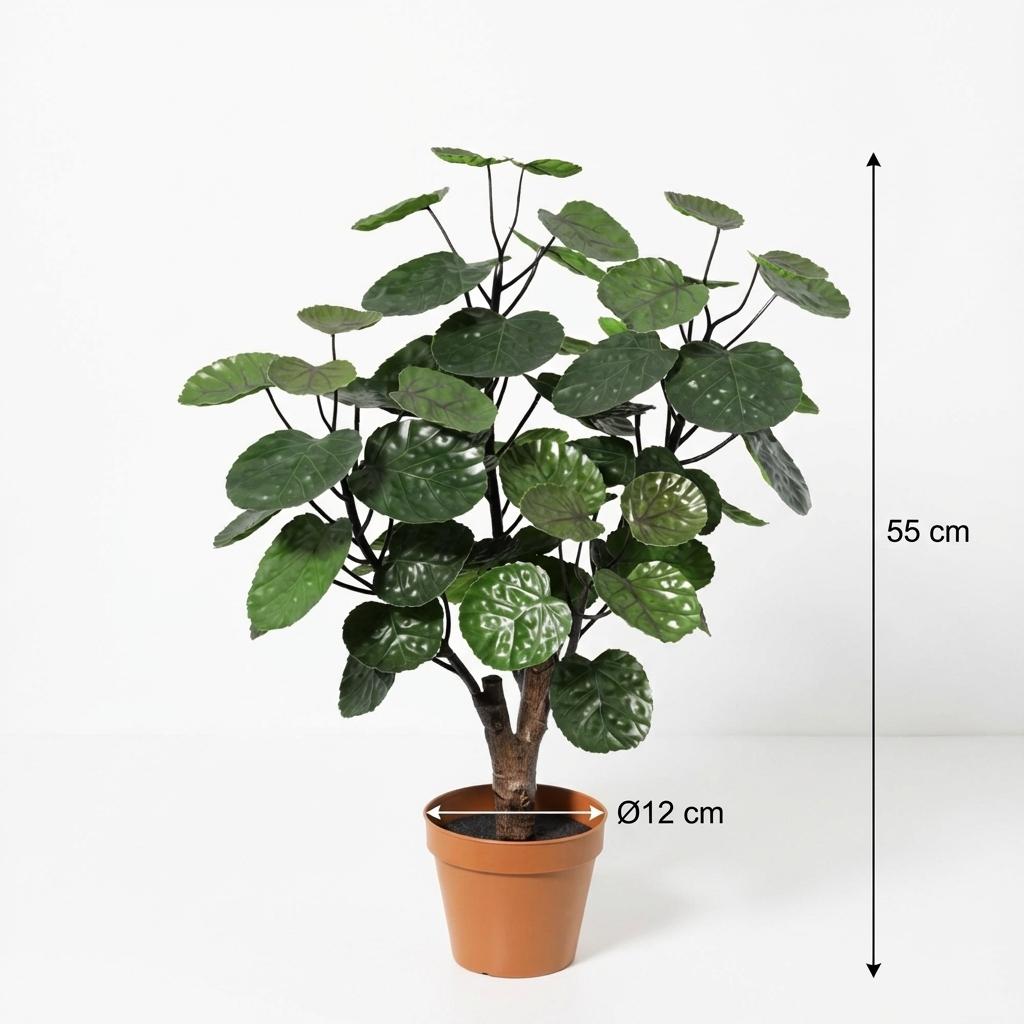 Kunstpflanze Aralie Fabian 55 cm – künstliche Polyscias