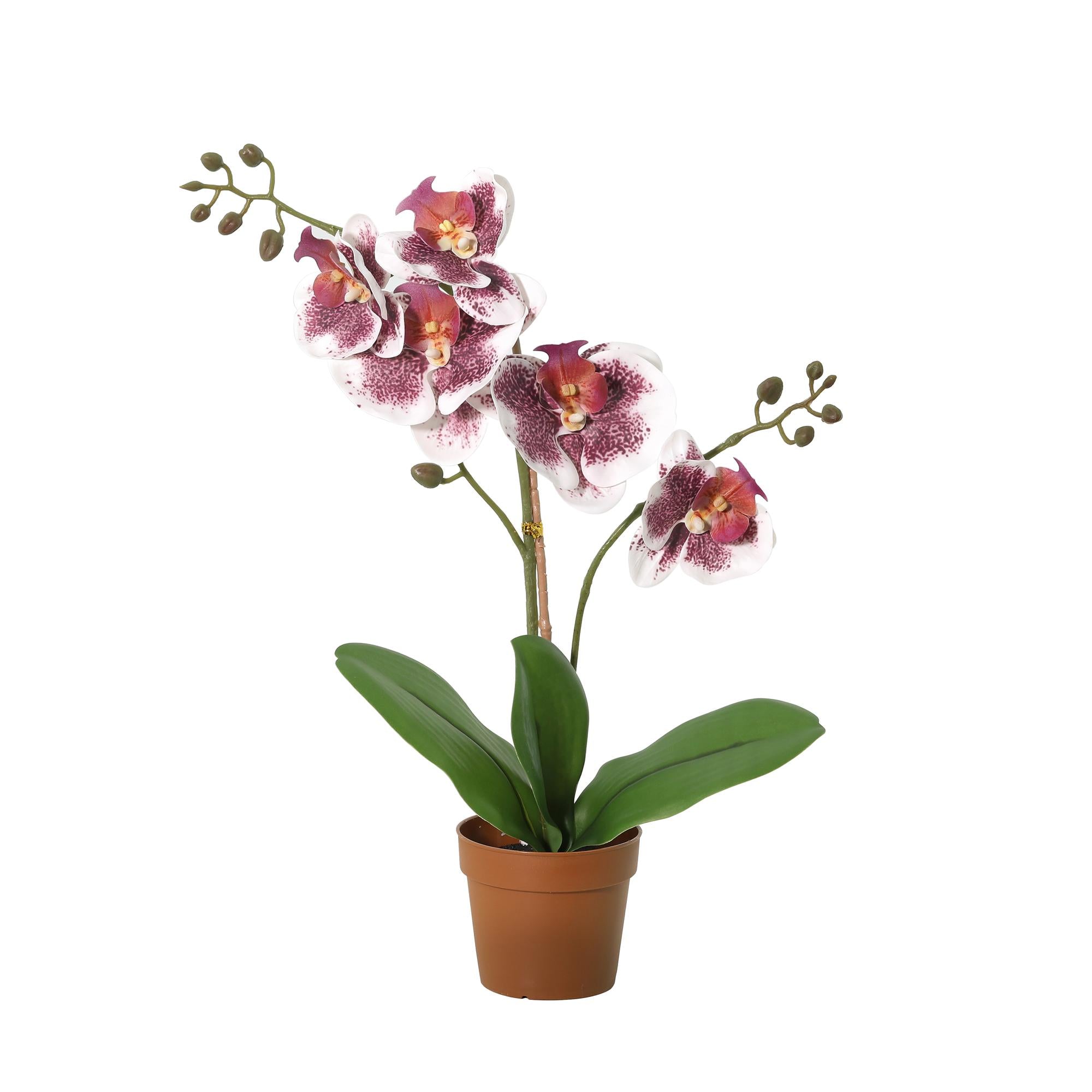 Kunstpflanze Schmetterlingsorchidee Phalaenopsis 41 cm violett-weiß