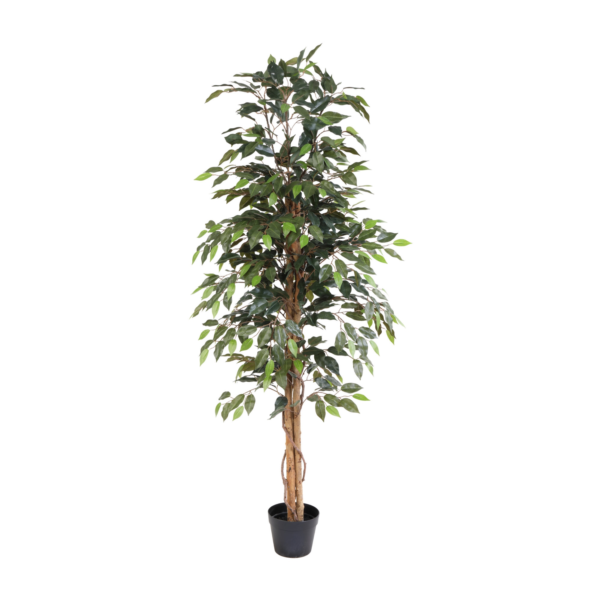 Kunstpflanze Birkenfeige Ficus Benjamina 160 cm