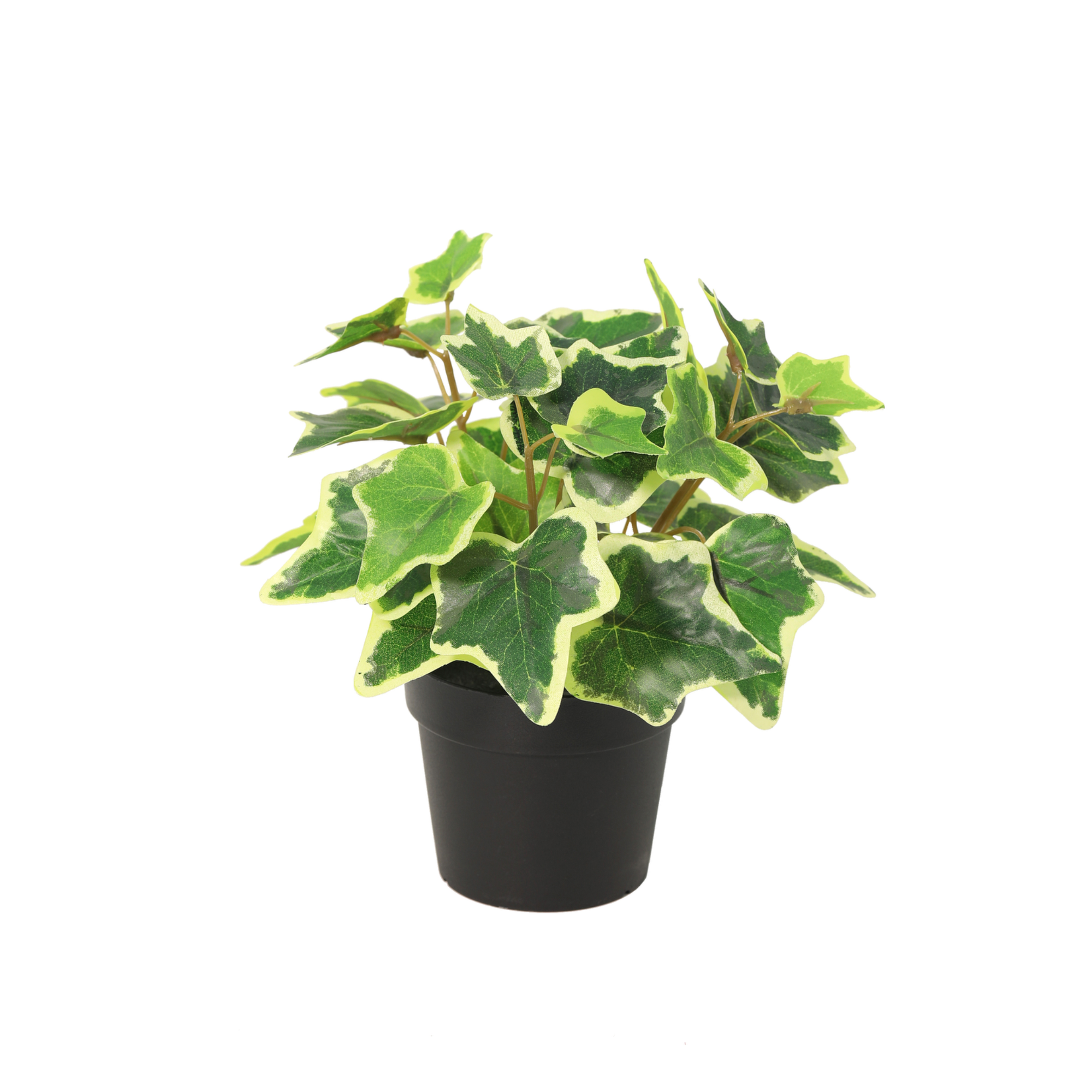 Kunstpflanze Weißer Efeu 19 cm mit zweifarbiger Blattoptik