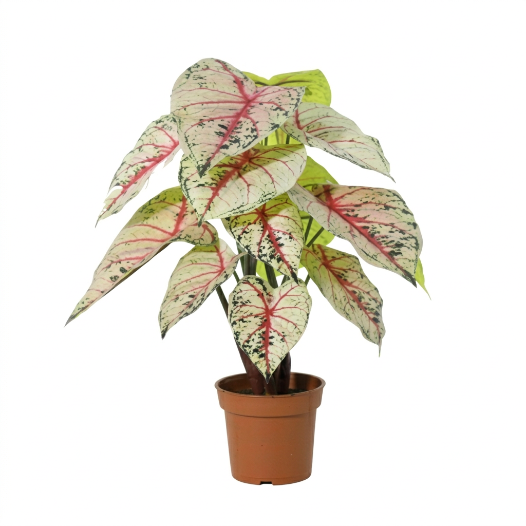 Kunstpflanze Caladium weiß rosa 57 cm