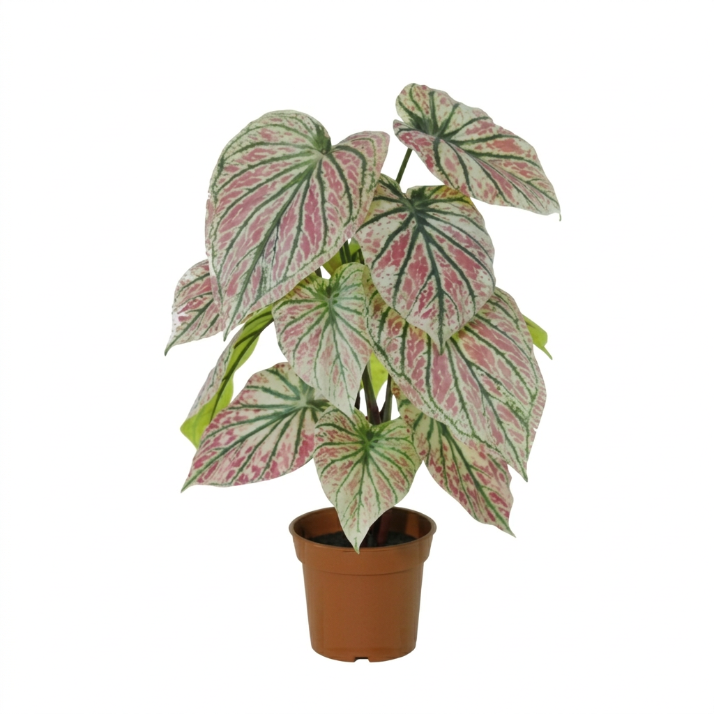 Kunstpflanze Caladium Grün-Pink 57 cm – künstliches Buntblatt