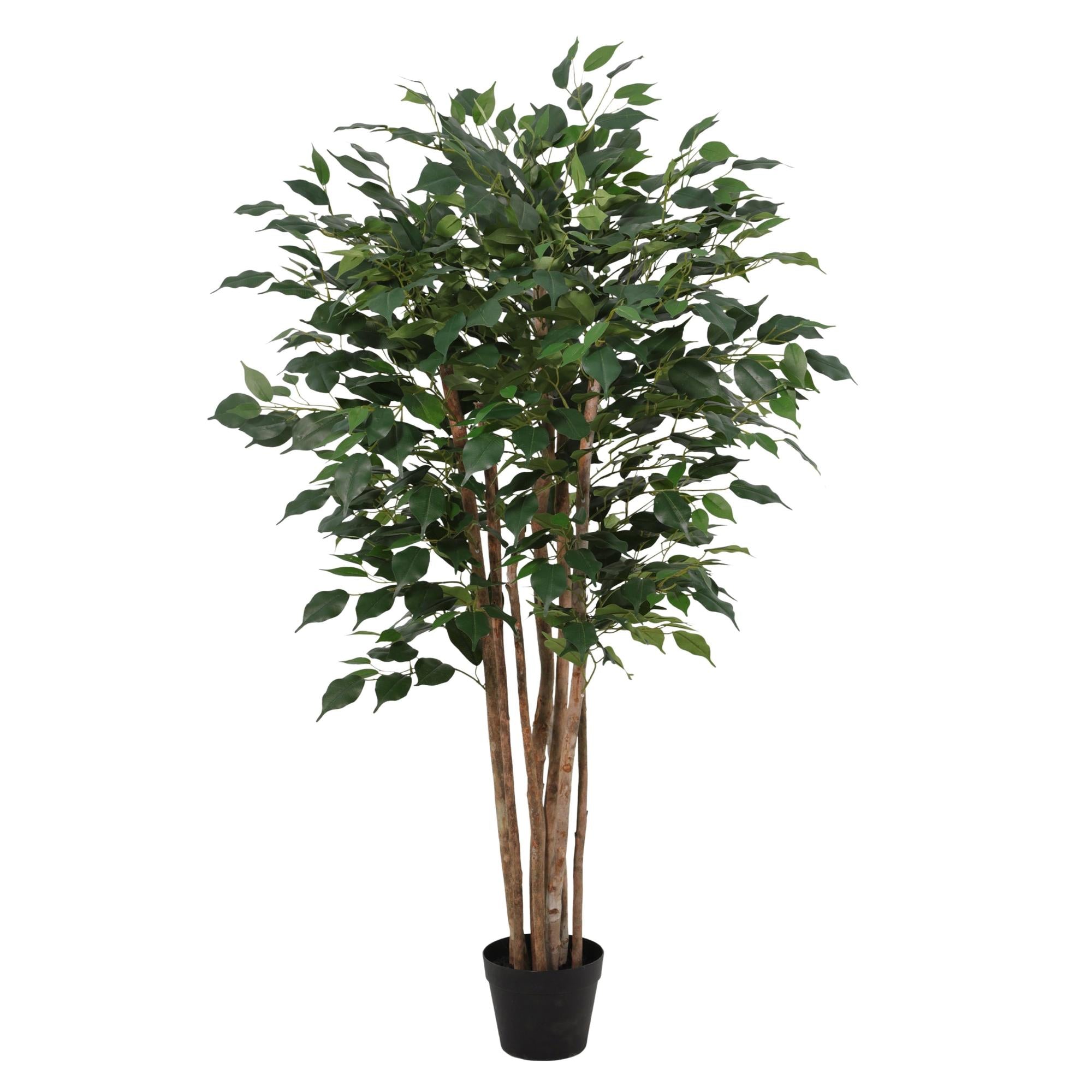 Kunstpflanze Birkenfeige 150 cm – künstlicher Ficus Benjamini