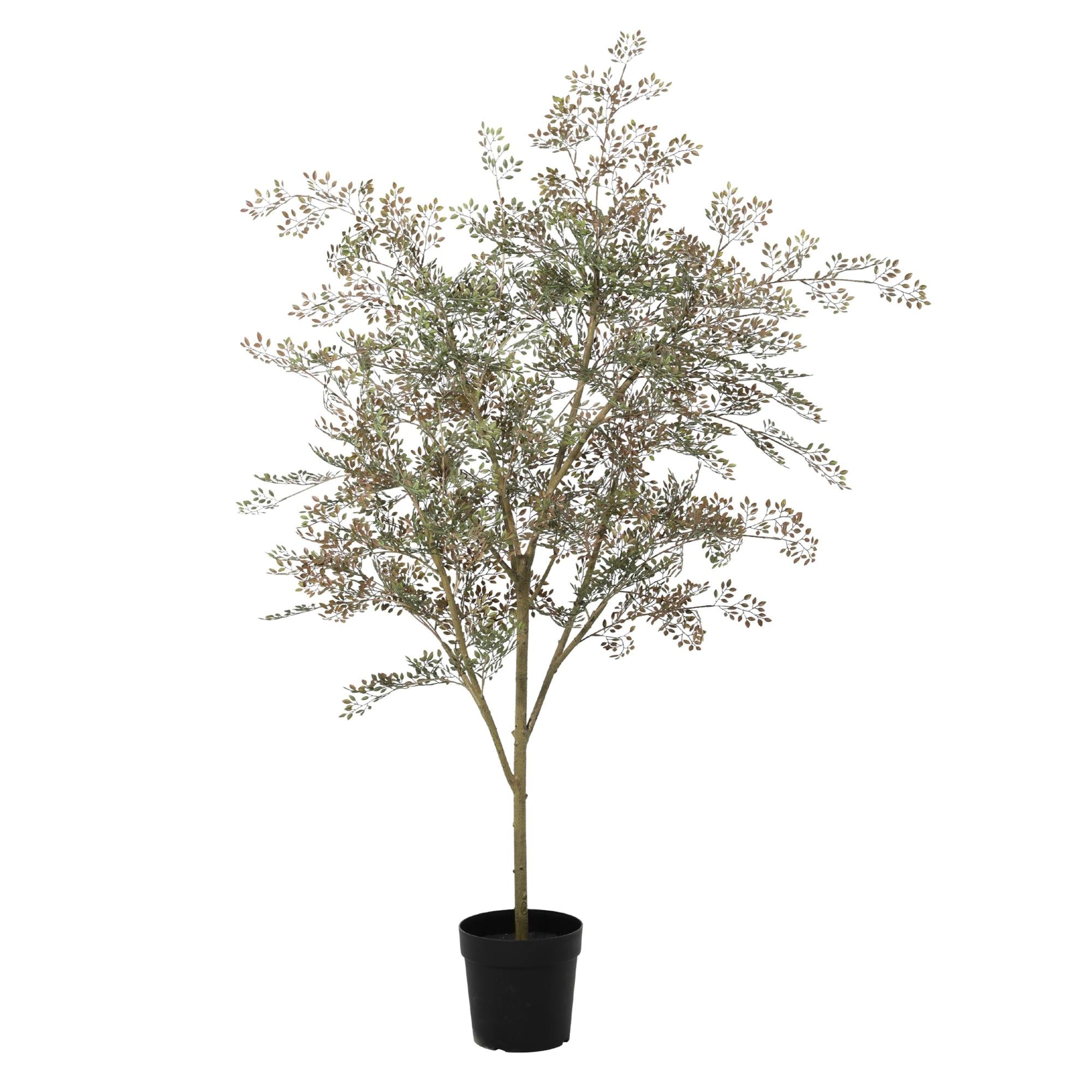 Bucida Kunstpflanze 165 cm – natürlicher Kunstbaum stilvoll