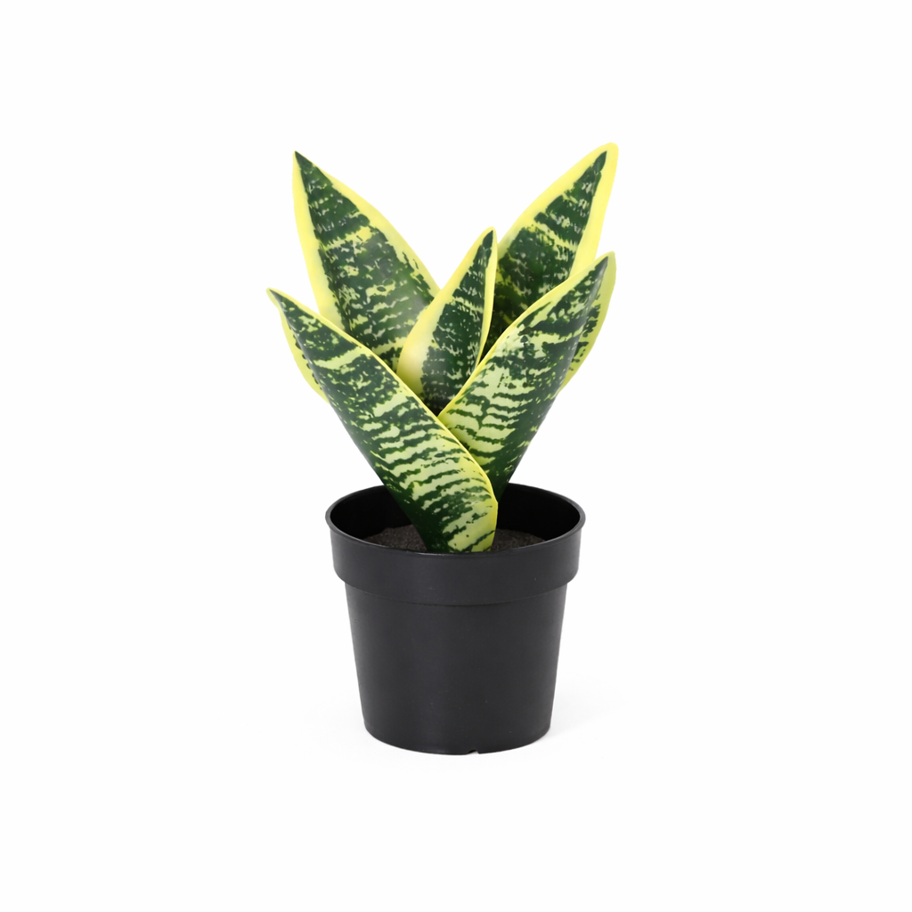 Bogenhanf Kunstpflanze 21 cm – Sansevieria Laurentii modern