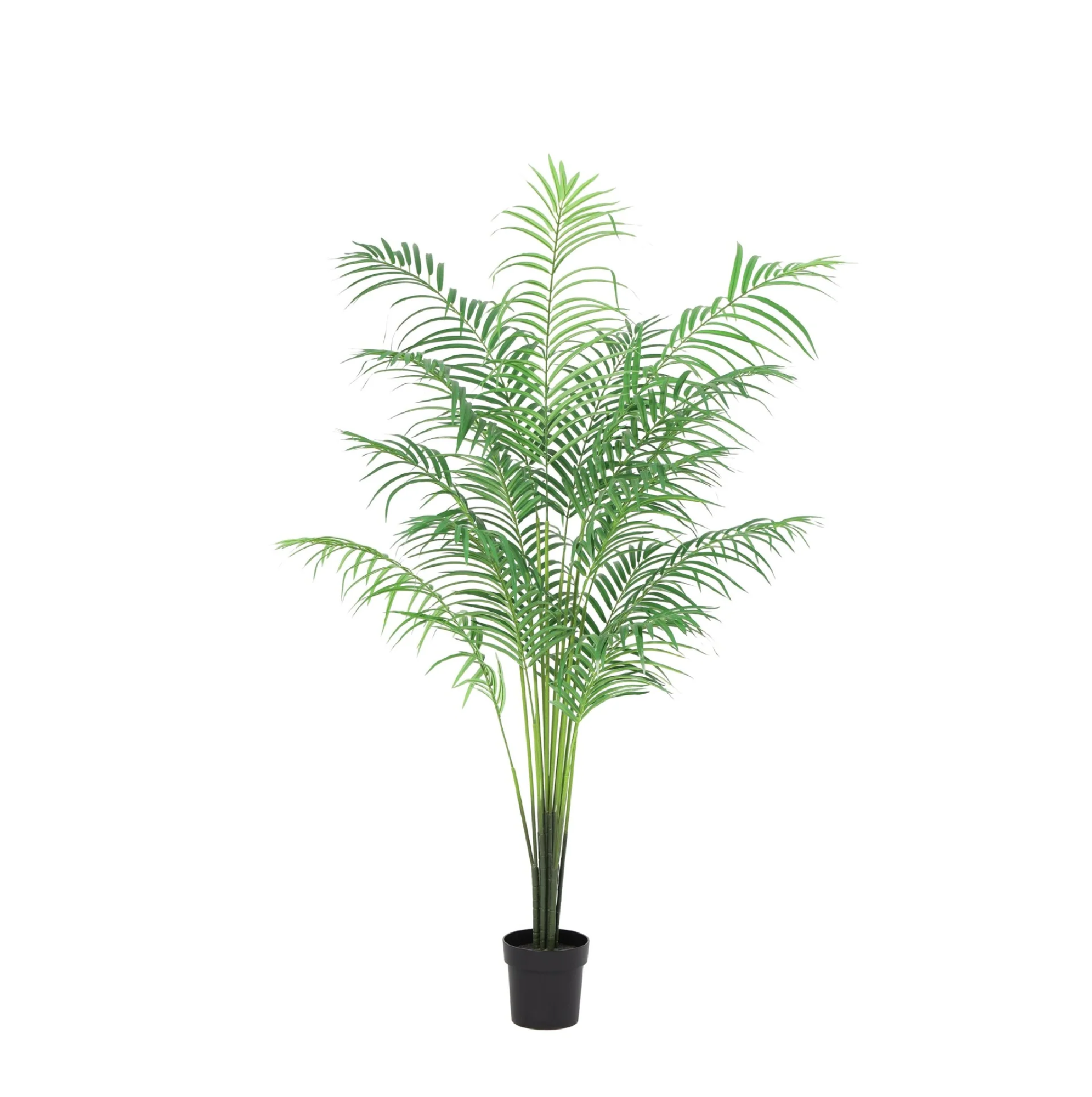 Kentia Palme Kunstpflanze 170 cm – elegante künstliche Zimmerpalme