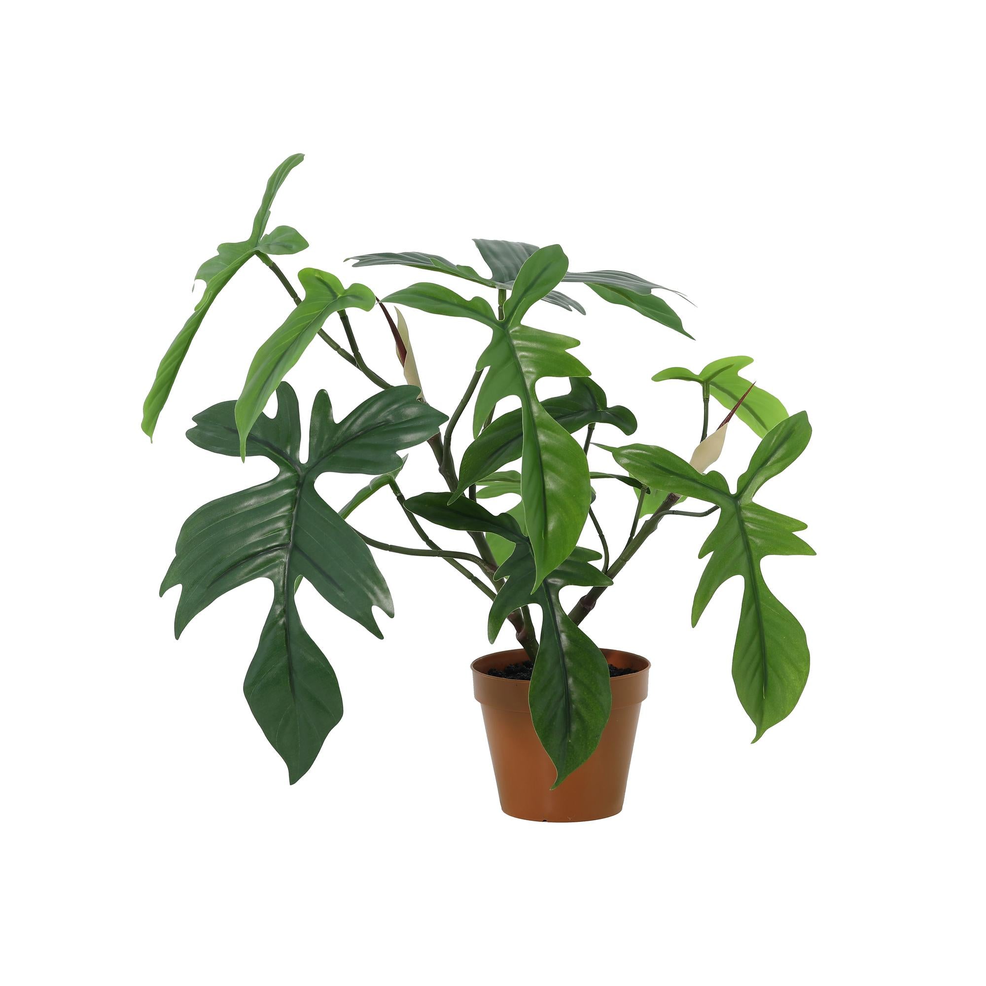 Philodendron Florida Kunstpflanze 44 cm – tropisch und stilvoll