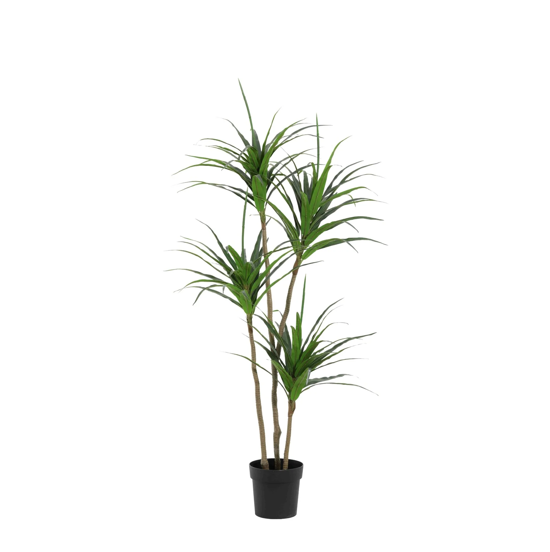 Kunstpflanze Drachenbaum 165 cm – künstliche Dracaena