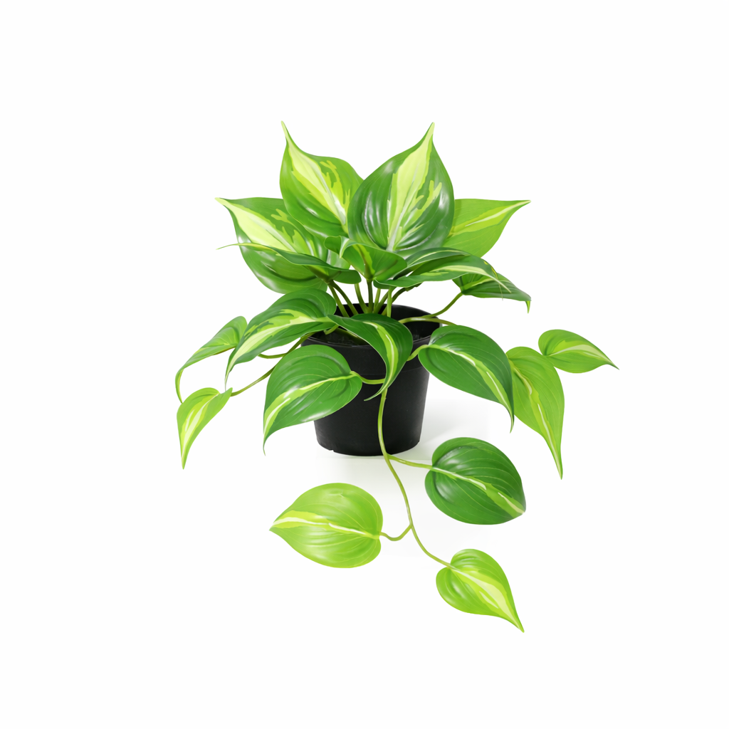 Kunstpflanze Efeutute Variegata 23 cm – künstliches Epipremnum